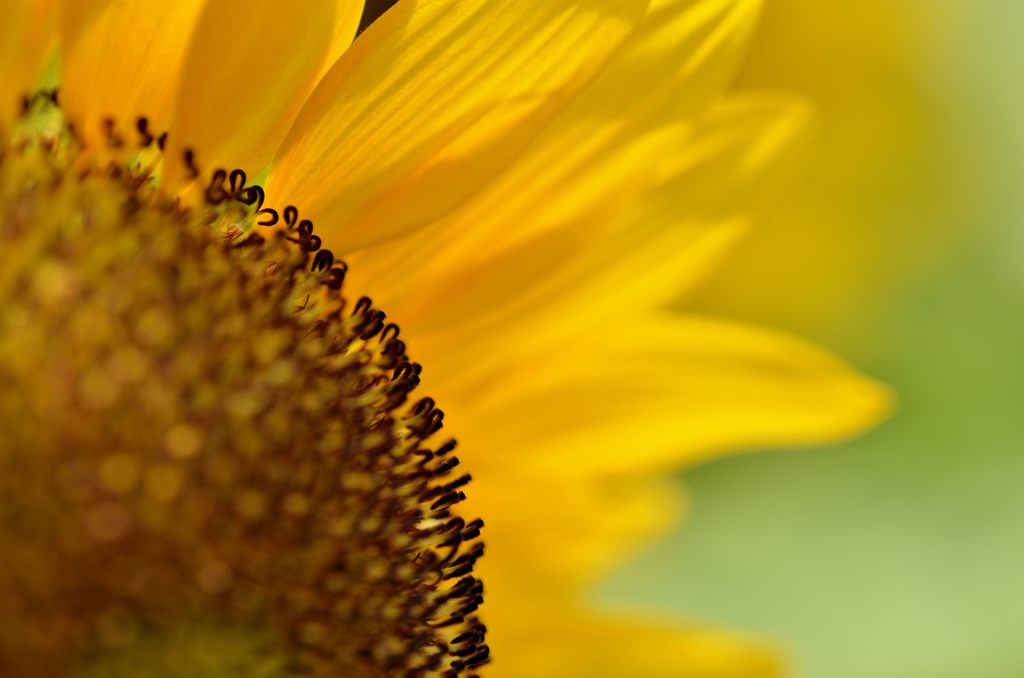 ドアップだよ。