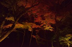 静寂