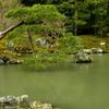 「松」の存在感
