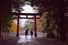霧島神宮の参道