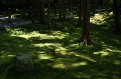 妙心寺（桂春院）＃5