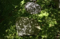 踏み石に水玉模様(覚園寺)
