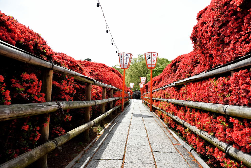 RED　WALL＃１
