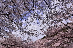 和らぎの道＃７