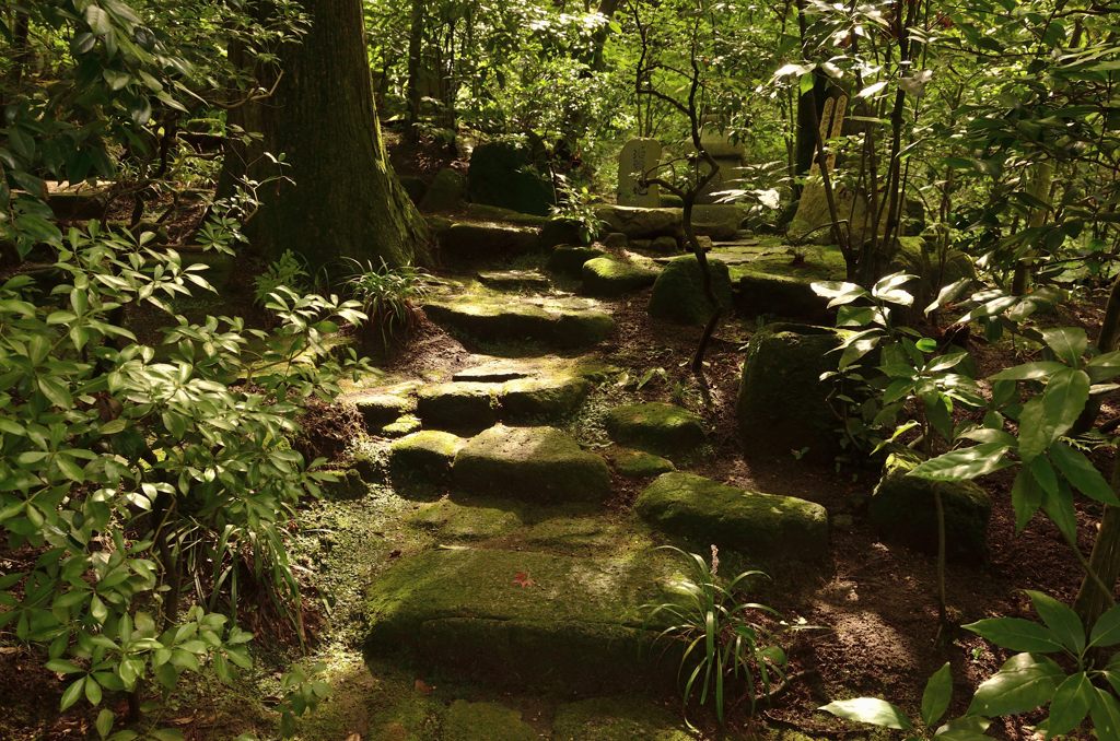 光と影の小道（東慶寺）