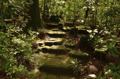 光と影の小道（東慶寺）
