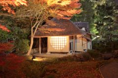 高台寺/傘亭