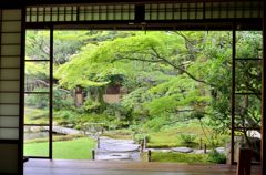 無鄰庵の居間から