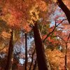 ダイナミック