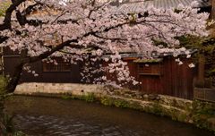 祇園白川＃3