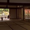 額縁・紅葉＃１