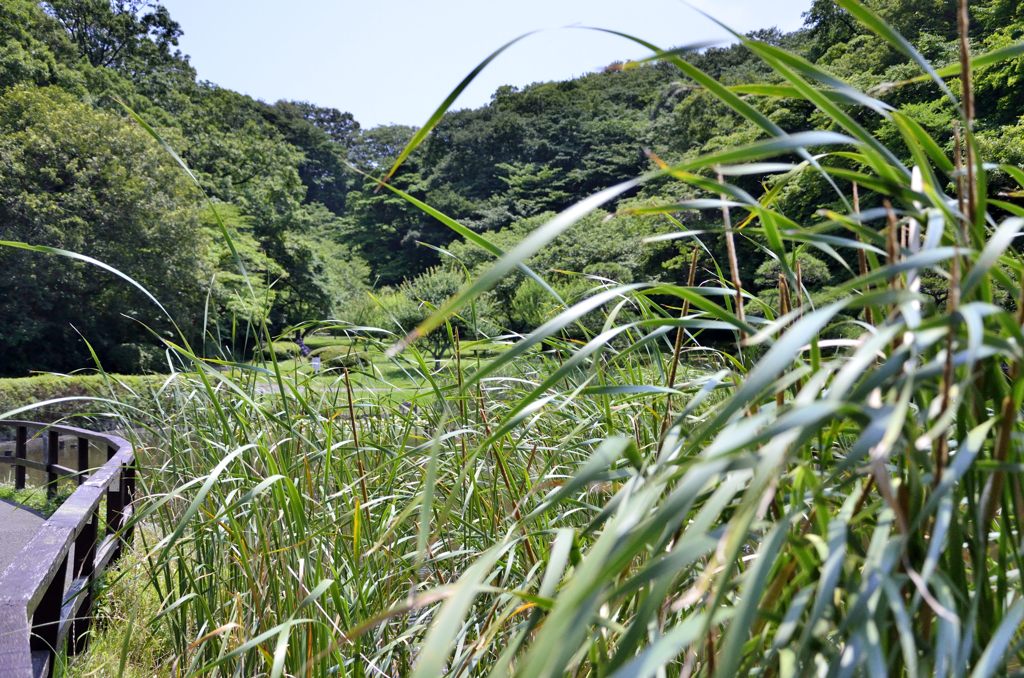 久良岐公園＃１