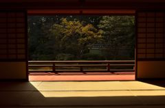 京都/隋心院＃２