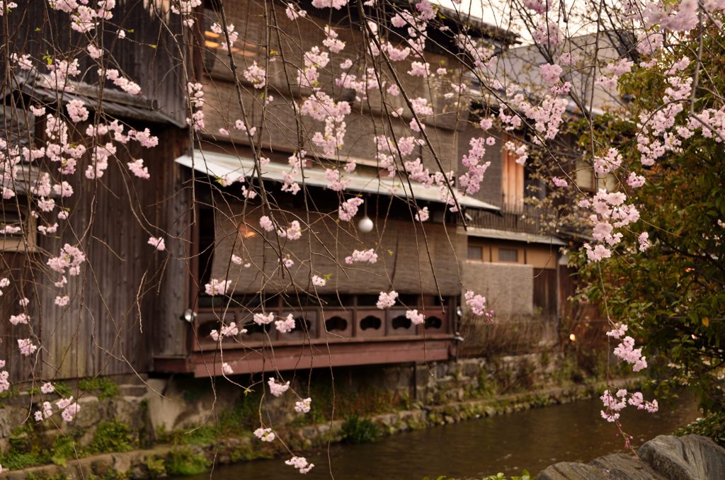 祇園白川＃2