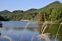 有馬富士公園＃１１