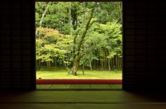 高桐院
