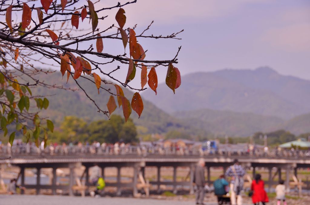 紅葉スタート・嵐山