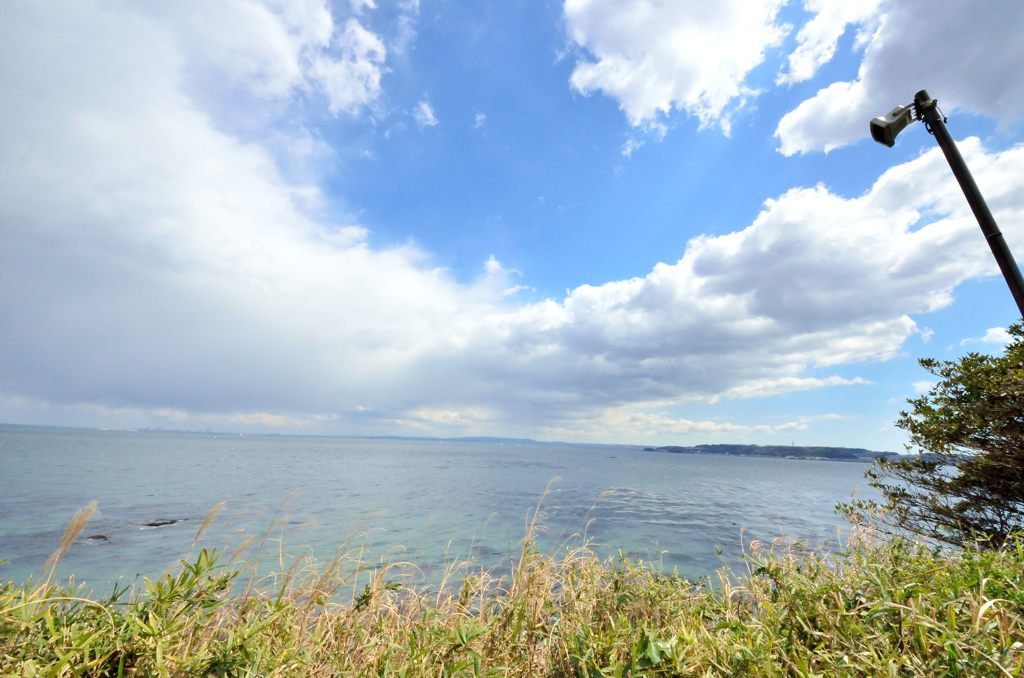 太平洋に向かって（猿島の広場から）