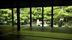 書院からの眺め（蓮華寺）