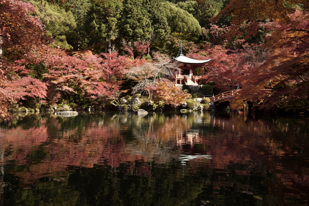 弁天堂まわりの紅葉