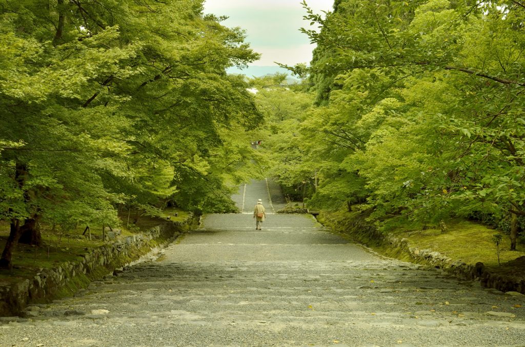 二尊院・アプローチ