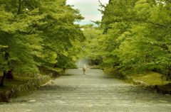 二尊院・アプローチ