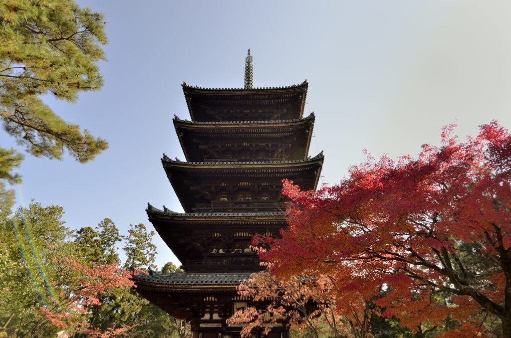 仁和寺＃２