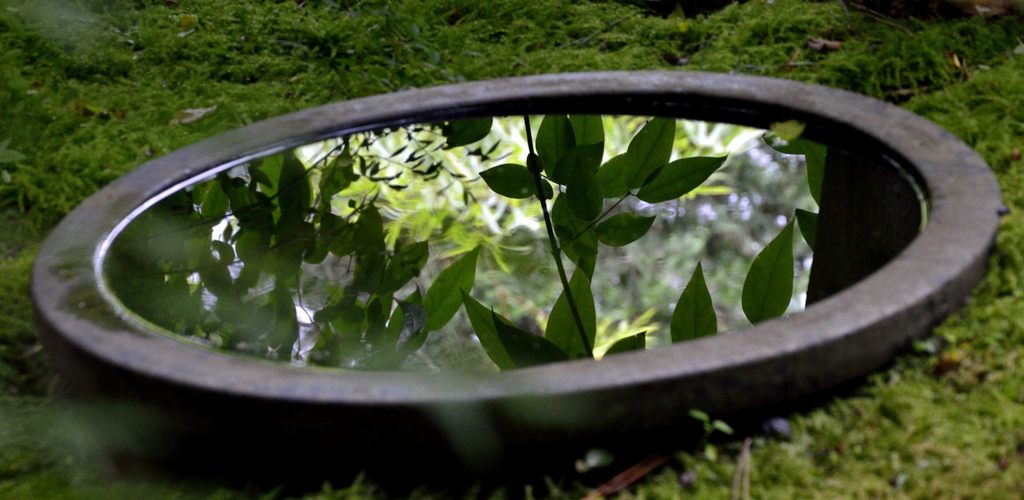 甕に映った木々（安国論寺）