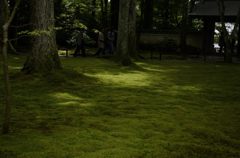 苔＃4（三千院）