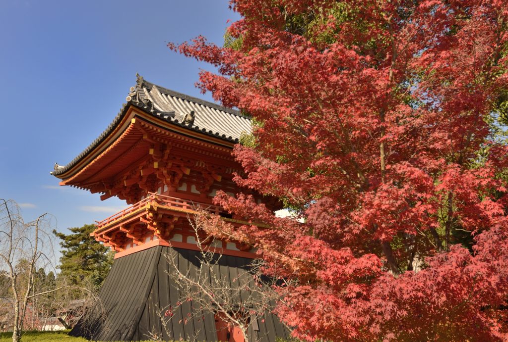 仁和寺＃７