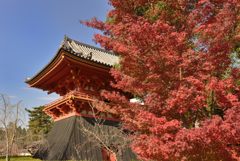 仁和寺＃７