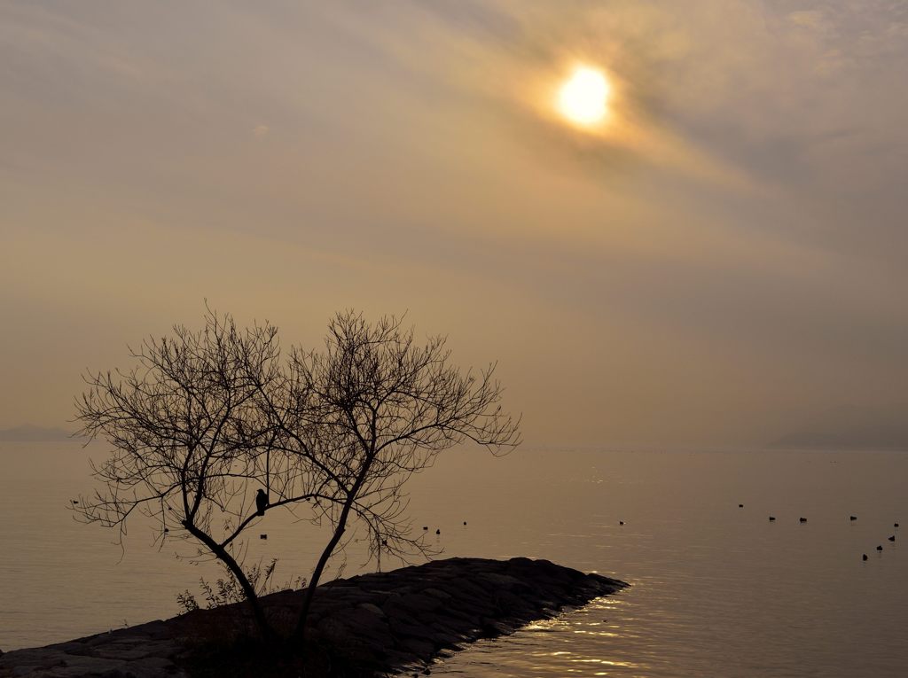 長浜湖岸