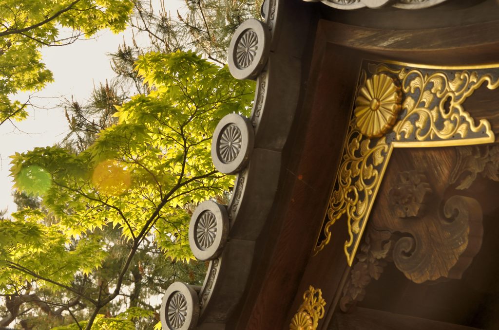 菊の御紋と青もみじ（妙心寺）
