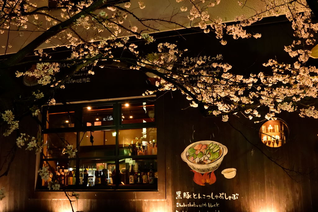 しゃぶしゃぶ・桜