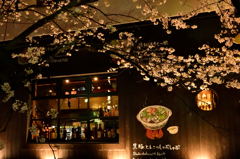 しゃぶしゃぶ・桜