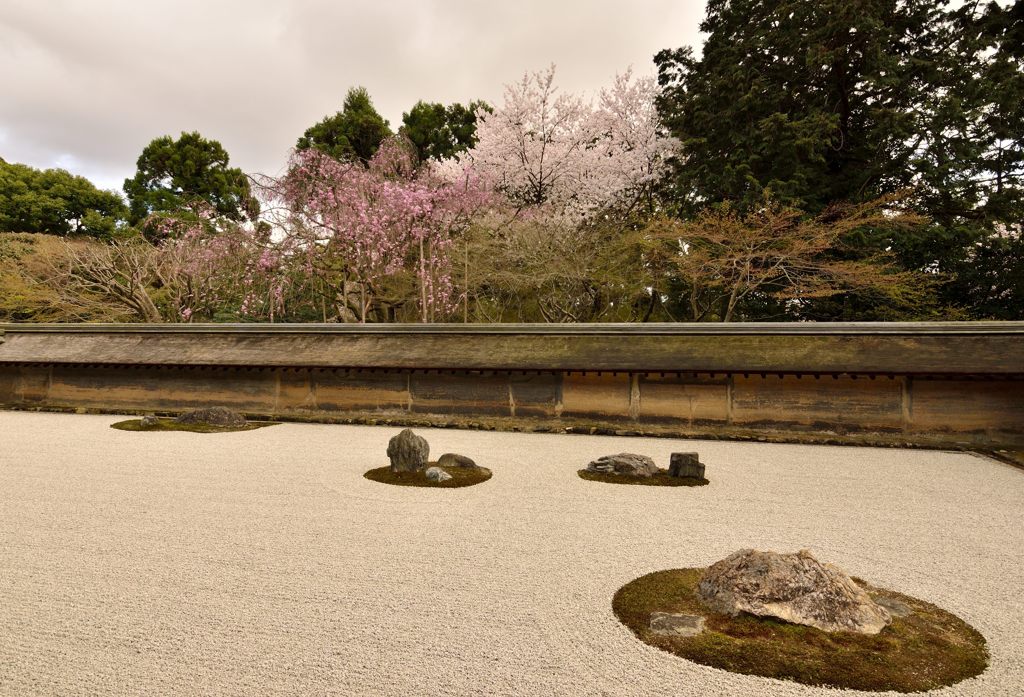 桜・龍安寺石庭（左から）