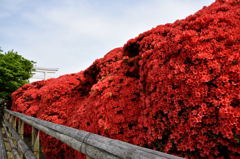 RED　WALL＃２
