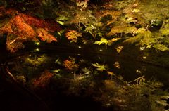 高台寺＃１（臥龍池）