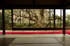 額縁庭園#1(宝泉院)