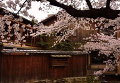 祇園白川＃4
