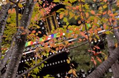 金戒光明寺・紅葉（２）