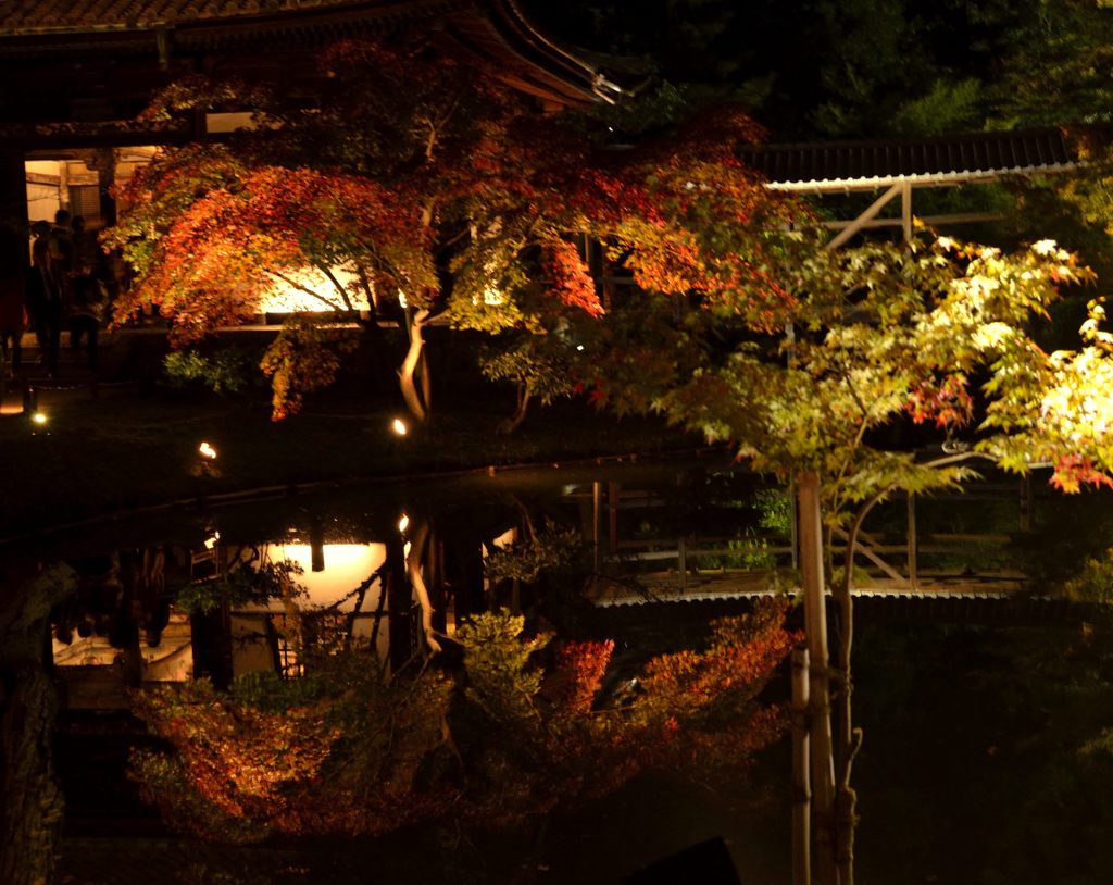 高台寺＃３（臥龍池）