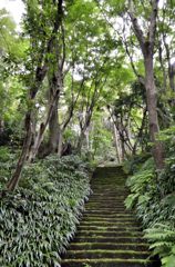 苔の階段（妙法寺）