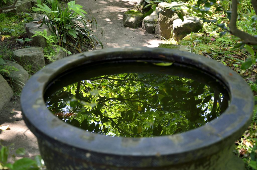 水瓶に写った木々（宝戒寺）