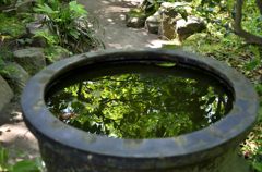 水瓶に写った木々(宝戒寺)