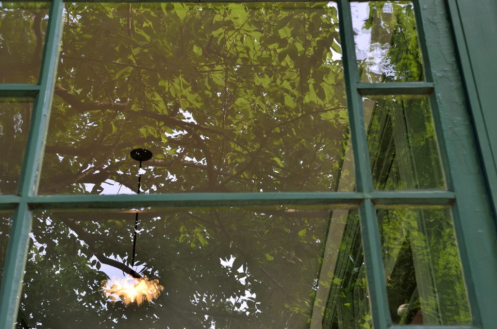窓ガラスの新緑