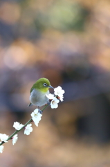 きっとここに