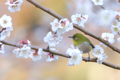 ここが好きだから