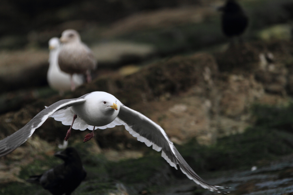 TAKE OFF