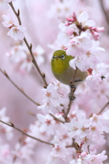 出会えたね♪